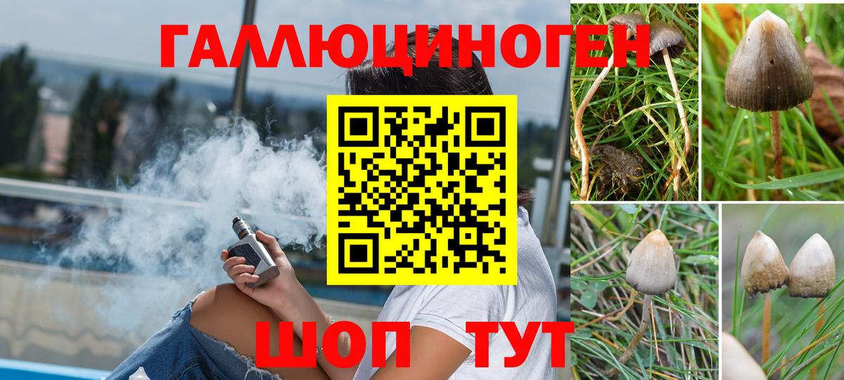 Орск  Псилоцибиновые грибы GOLDEN TEACHER  Вход с VPN 